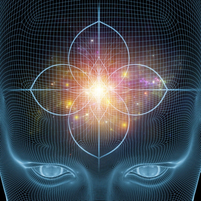 The Power of Mindfulness: How it Can Transform Your Life