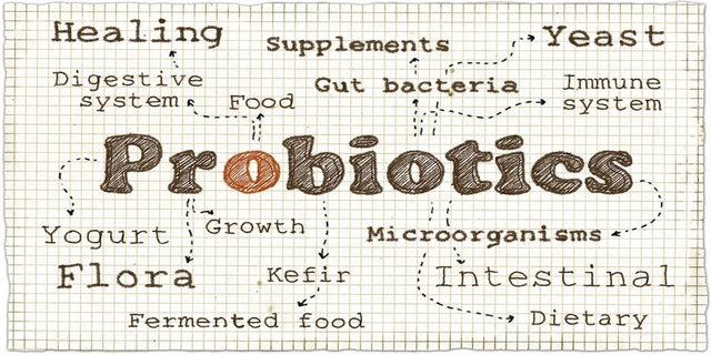 What, Why and How to Use Probiotics
