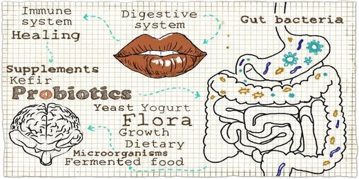 The Power of Probiotics